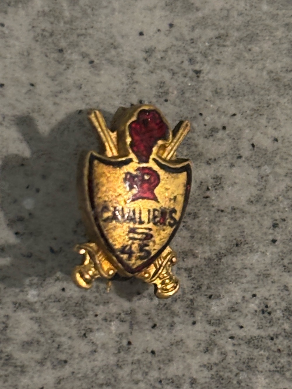Vintage Goldplated Shield Crest Lapel Pin with Red Accent